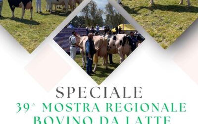 Speciale 39* Mostra Regionale Bovino da Latte