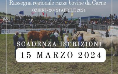 11^ Mostra Regionale del Bovino Charolaise e Limousine