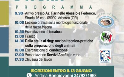 AGAFINI@WORK: INCONTRO AD ARBOREA IL PROSSIMO 18 GIUGNO 2024