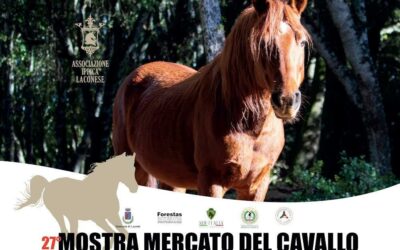 A LACONI (OR) LA 2^ RASSEGNA DEL CAVALLO DEL SARCIDANO E LA 27^ MOSTRA MERCATO DEL CAVALLO