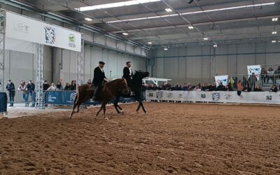 GRANDE SUCCESSO DELLA SARDEGNA ALLA 126^ FIERACAVALLI