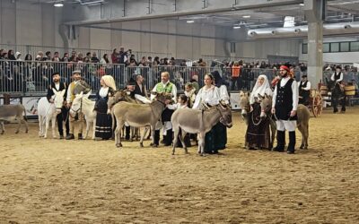 ALLA 126^ FIERACAVALLI LE BIODIVERSITA’ EQUINE ED ASININE DELLA SARDEGNA